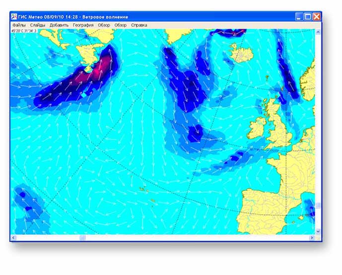 Ocean software проекты